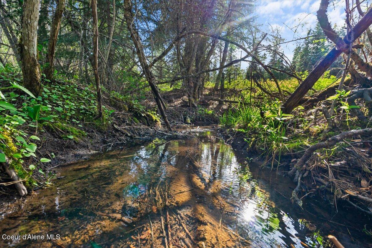 Property Photo: Nka Mutch Creek Road ID 83861