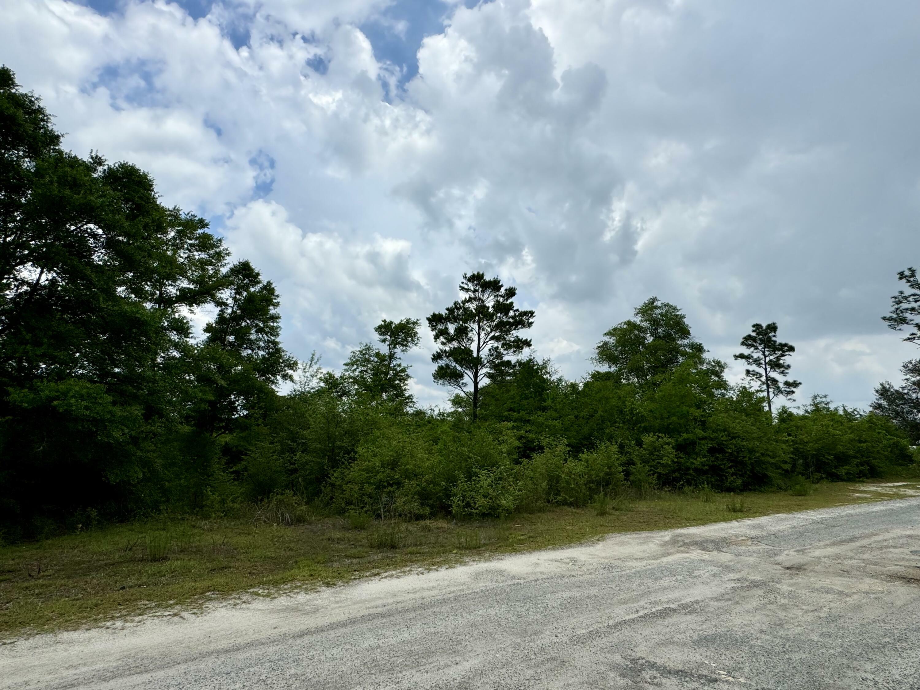 Property Photo:  Lot 12 Grassy Pond Road  FL 32428 