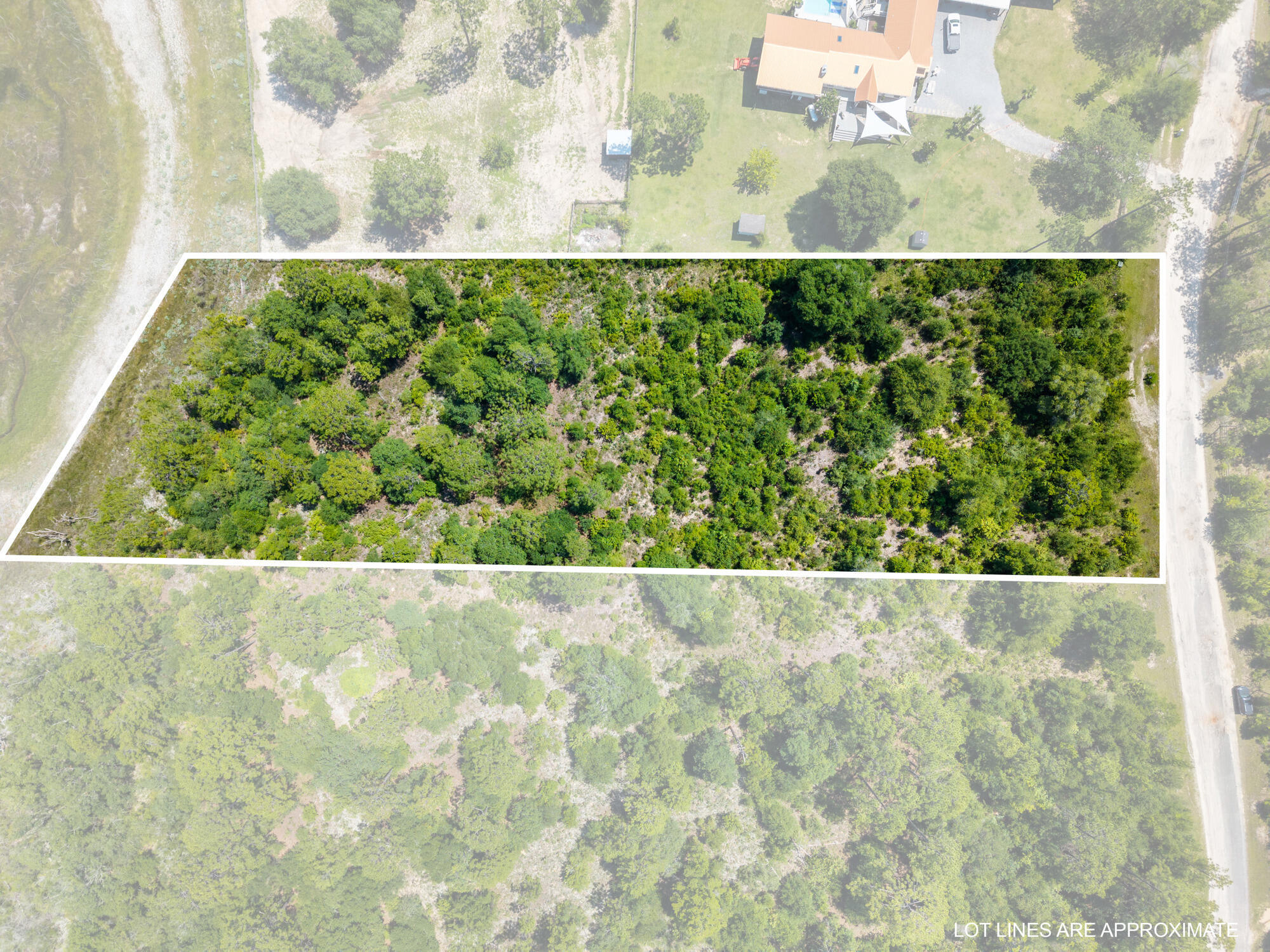 Property Photo: Lot 12 Grassy Pond Road FL 32428
