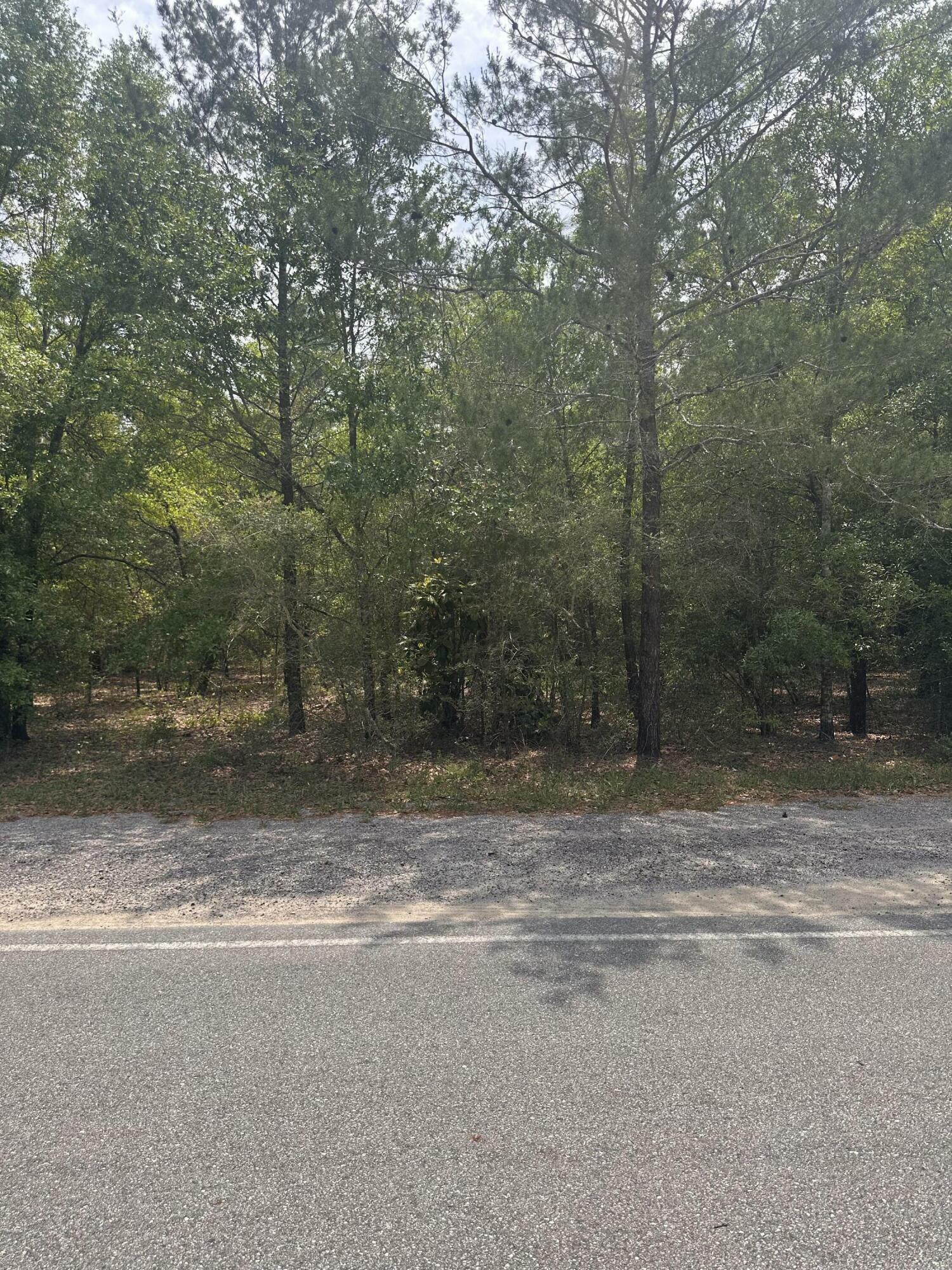 Property Photo: Lot 14 Blk 18 Windflower Street FL 32433