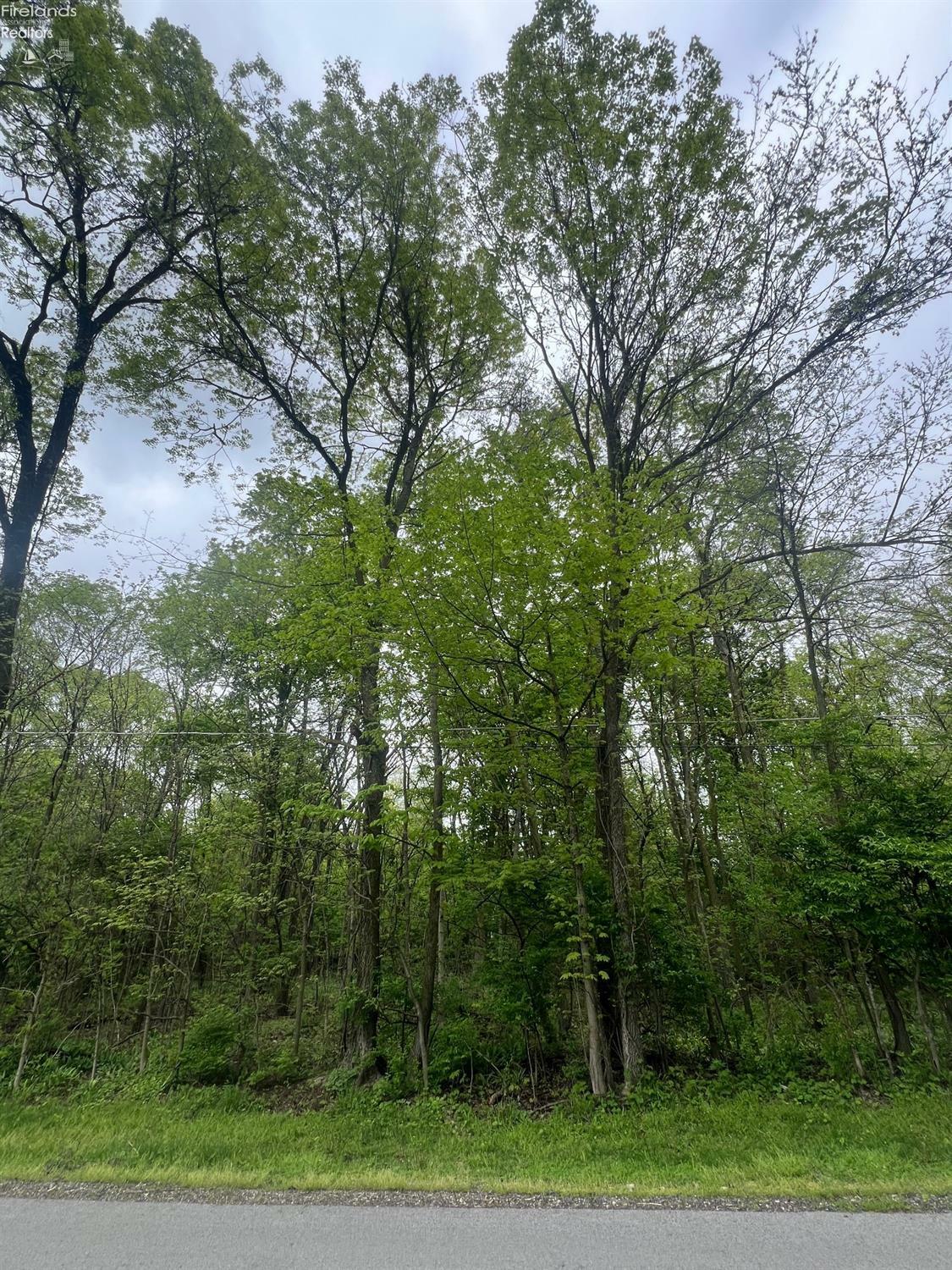 Property Photo: 0 Trenton OH 43456
