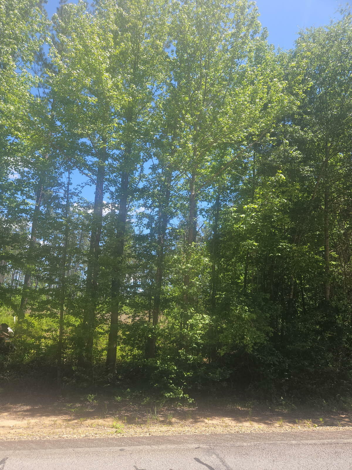 Property Photo: Lot 5 Ga Highway 123 GA 30820