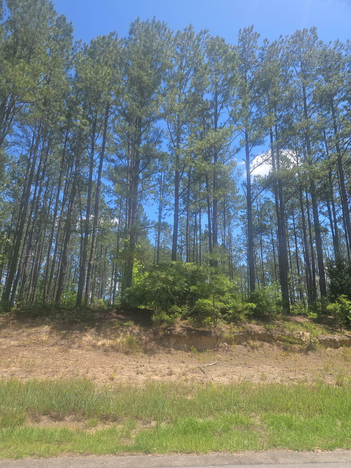 Property Photo: Lot 7 Ga Highway 123 GA 30820