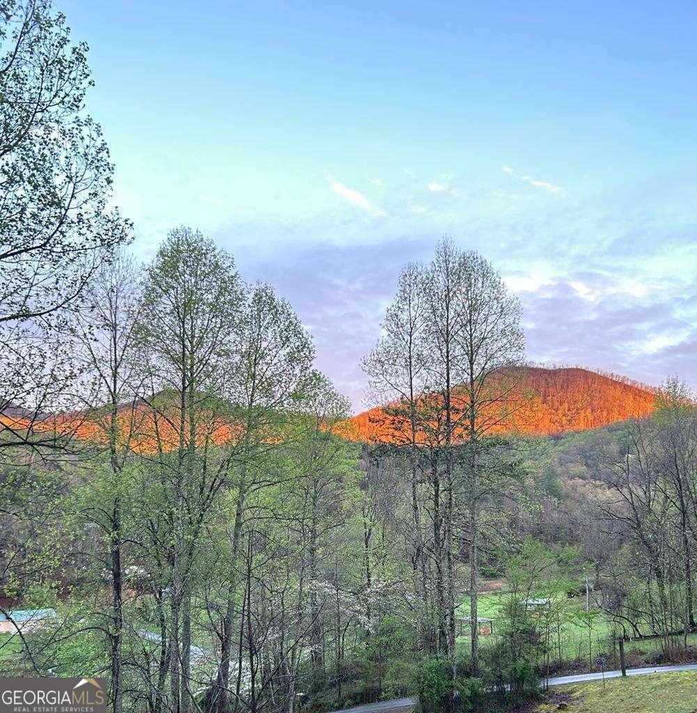 Property Photo: 154 Anns Lane NC 28904