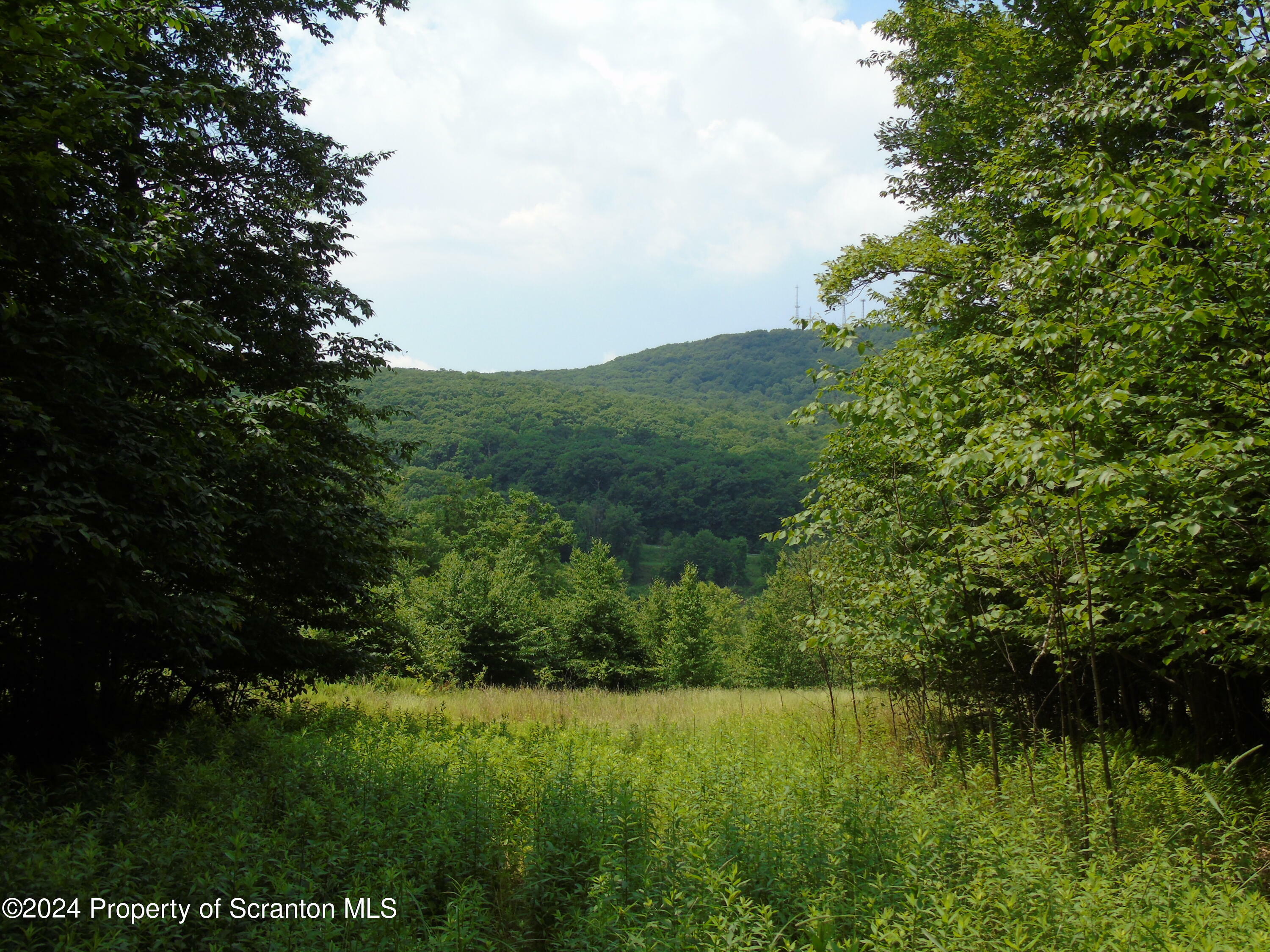 Property Photo: 58 Summit Woods PA 18444