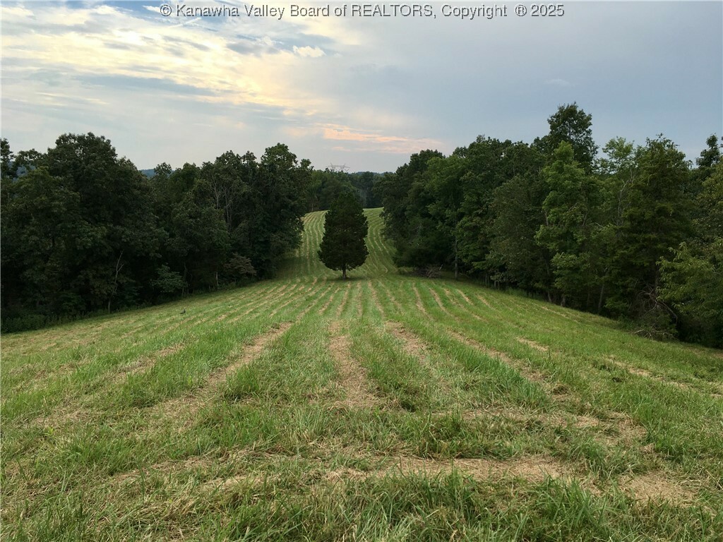 728 Honeycutt Road  Fraziers Bottom WV 25082 photo