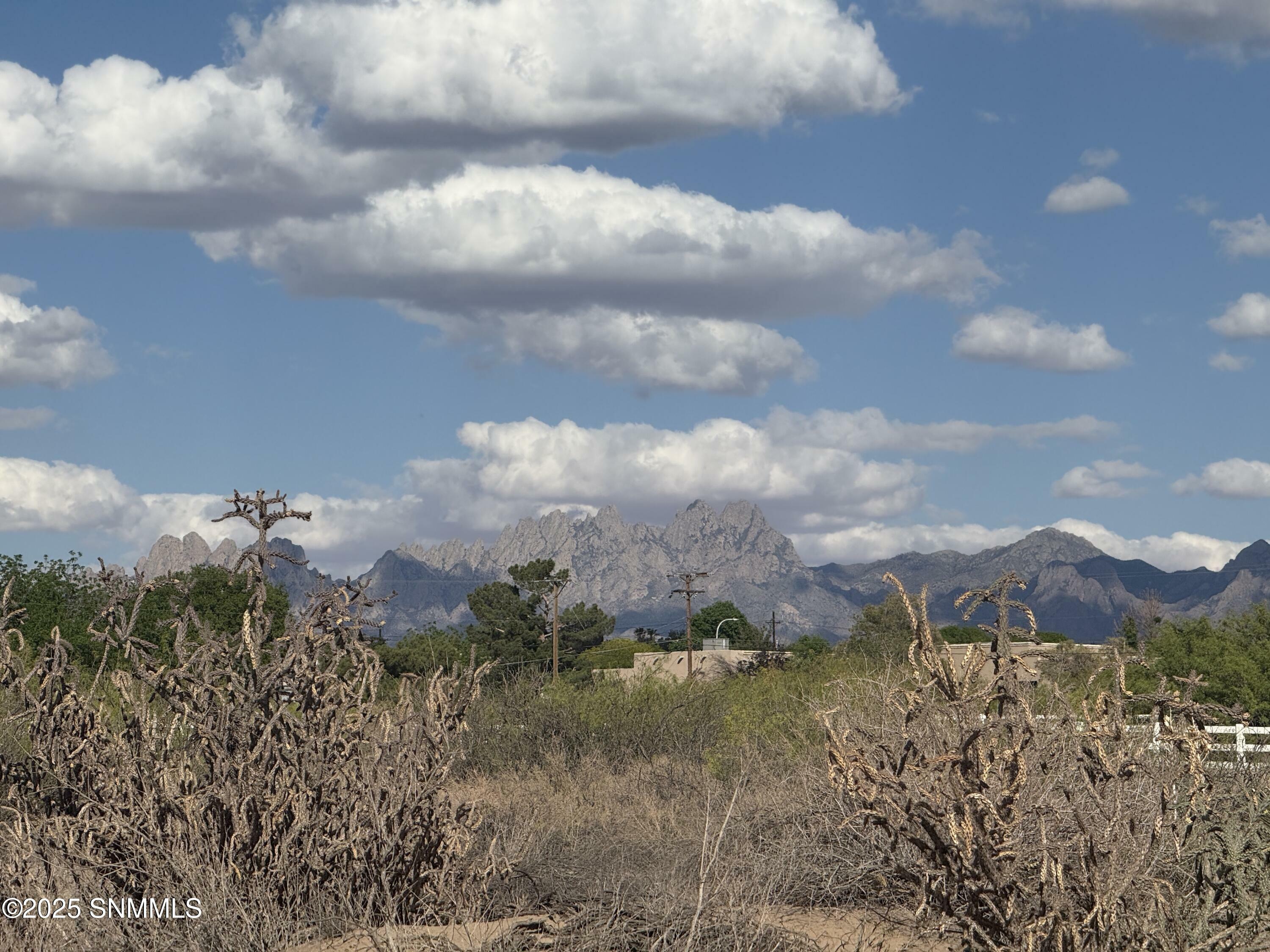 Property Photo: