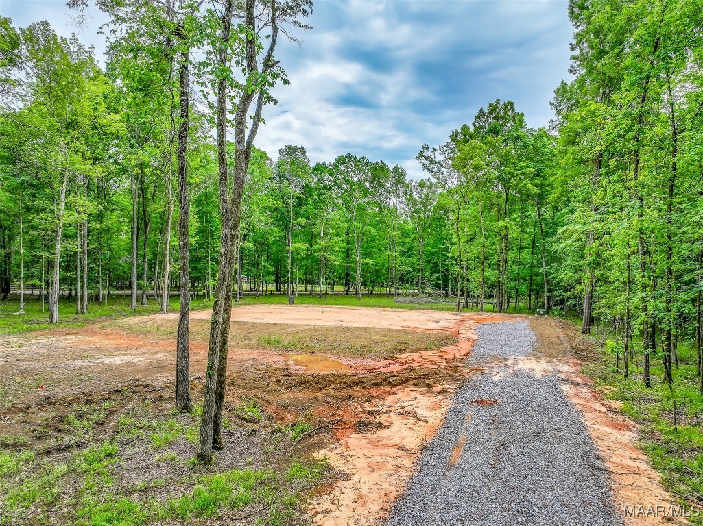 Property Photo: 181 Hickory Hollow Cove AL 36013