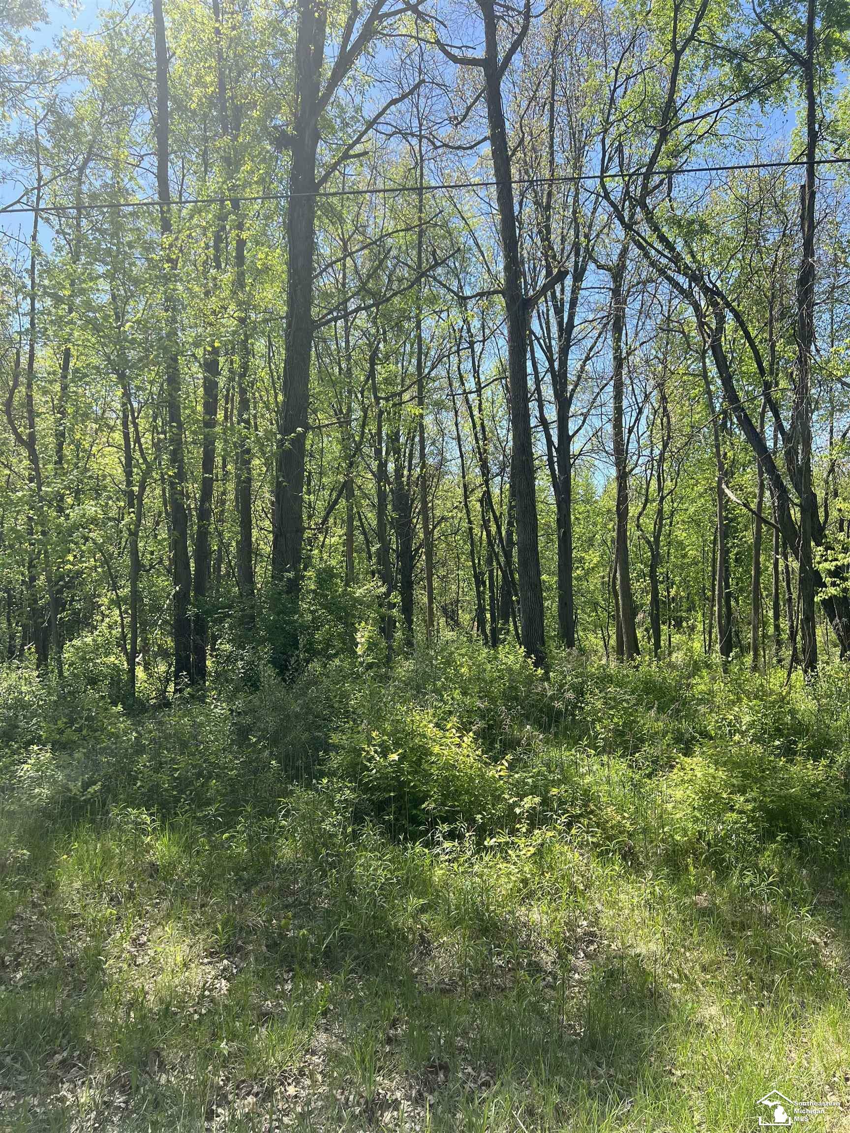 Property Photo:  0 W Dunbar Road  MI 48131 