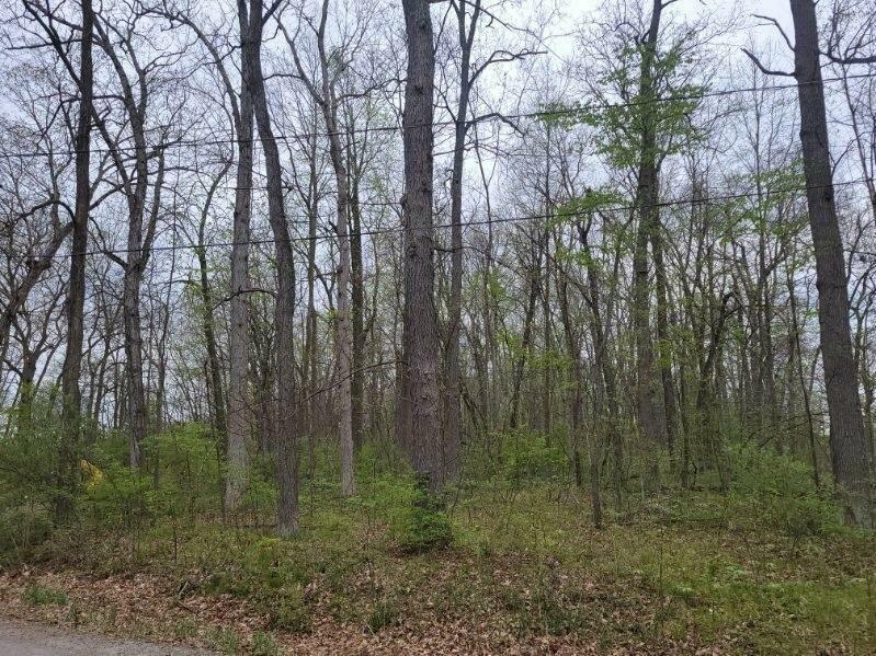 Property Photo: 0 Cavan Court MI 49265