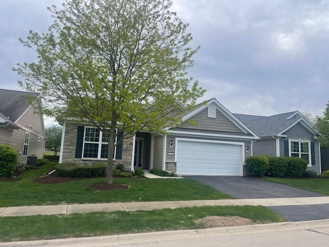 711 Pleasant Drive  Shorewood IL 60404 photo