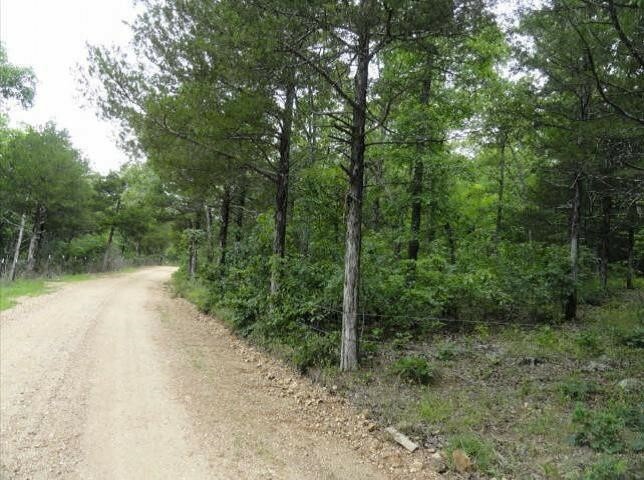 Property Photo:  Ricks  AR 72615 