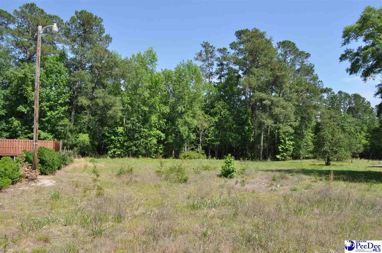 Property Photo: 1208(1204) Highway 9 SC 29581