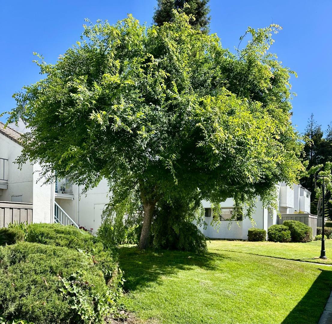 Property Photo:  1055 North Capitol Avenue 17  CA 95133 