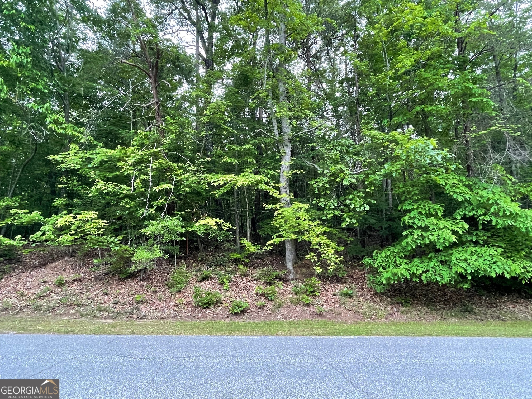 Property Photo: 0 Point Road Lot 515 SC 29693