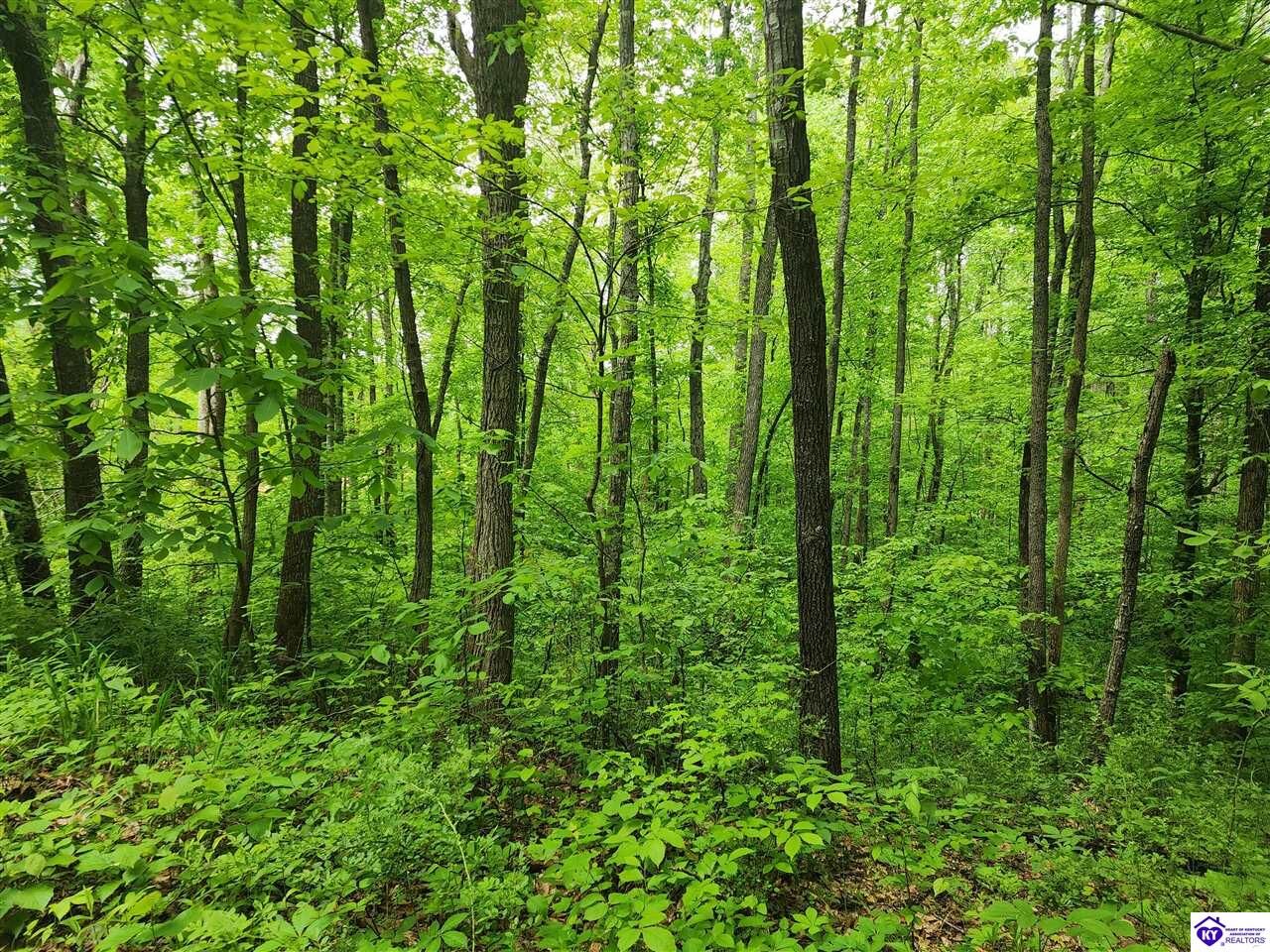 Property Photo:  Tract 1 E G Nash Road  KY 42721 