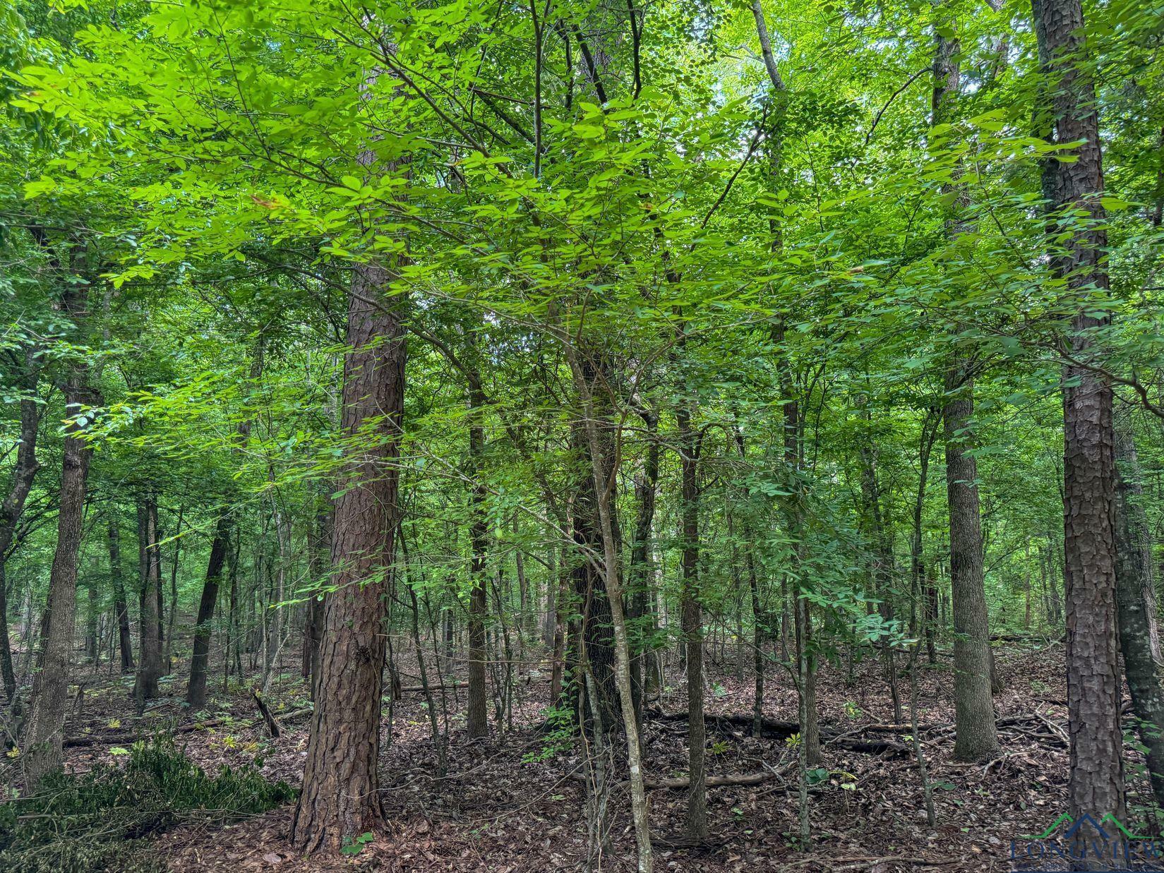 Property Photo: 0000 Fm 161 TX 75656
