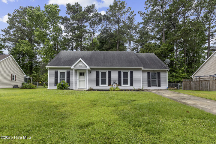 208 E Lakeridge Landing  Jacksonville NC 28546 photo
