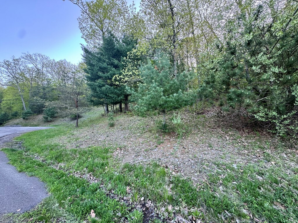 Property Photo: 0 Sullivan Drive PA 18810