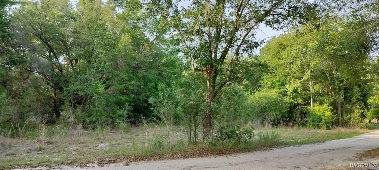Property Photo: 2608 Polk Street FL 34453