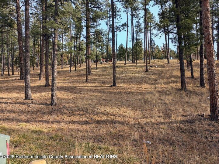 320 White Mountain Meadows Drive  Ruidoso NM 88345 photo