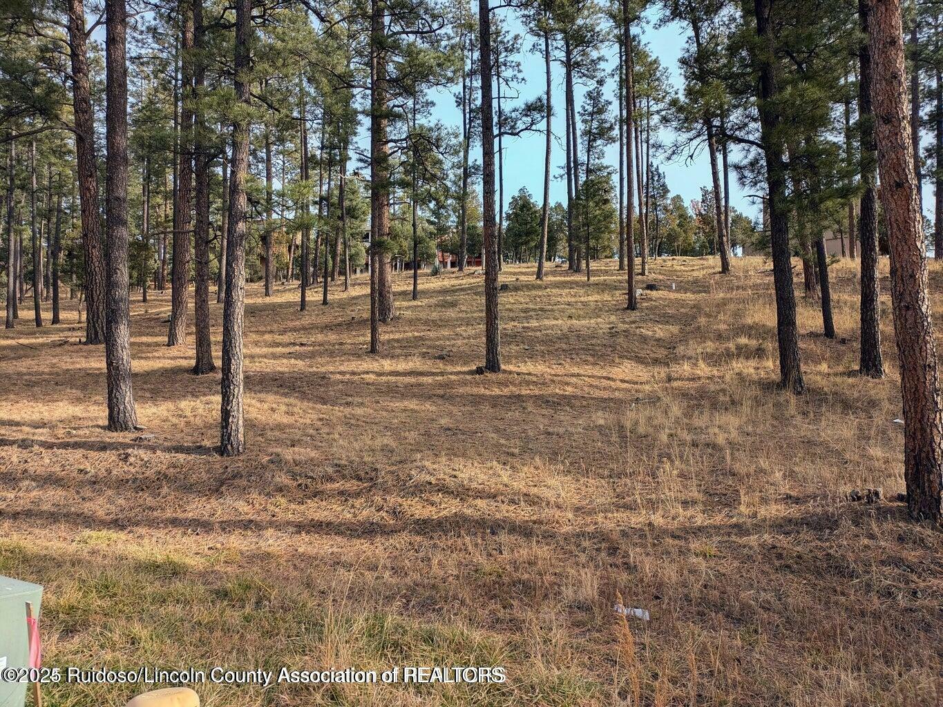 Property Photo: 320 White Mountain Meadows Drive NM 88345