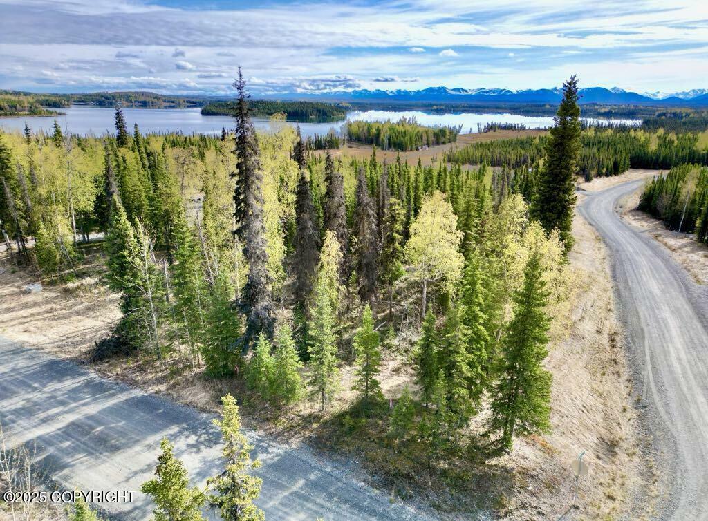 Property Photo: Tr A4 Aletha Court AK 99669
