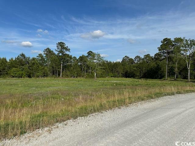 Property Photo: 114 Belland Ct. SC 29569