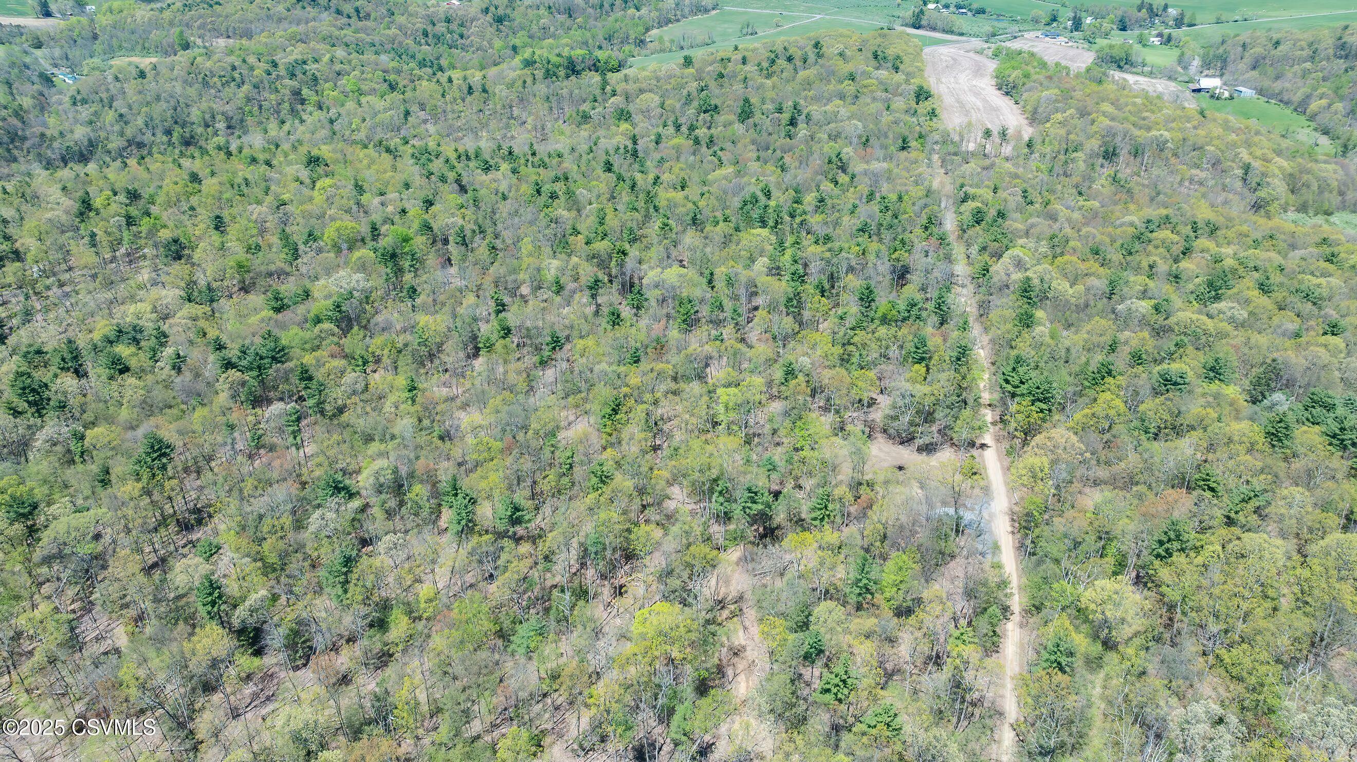 Property Photo: Lot 1 Patton Hill Road PA 17846