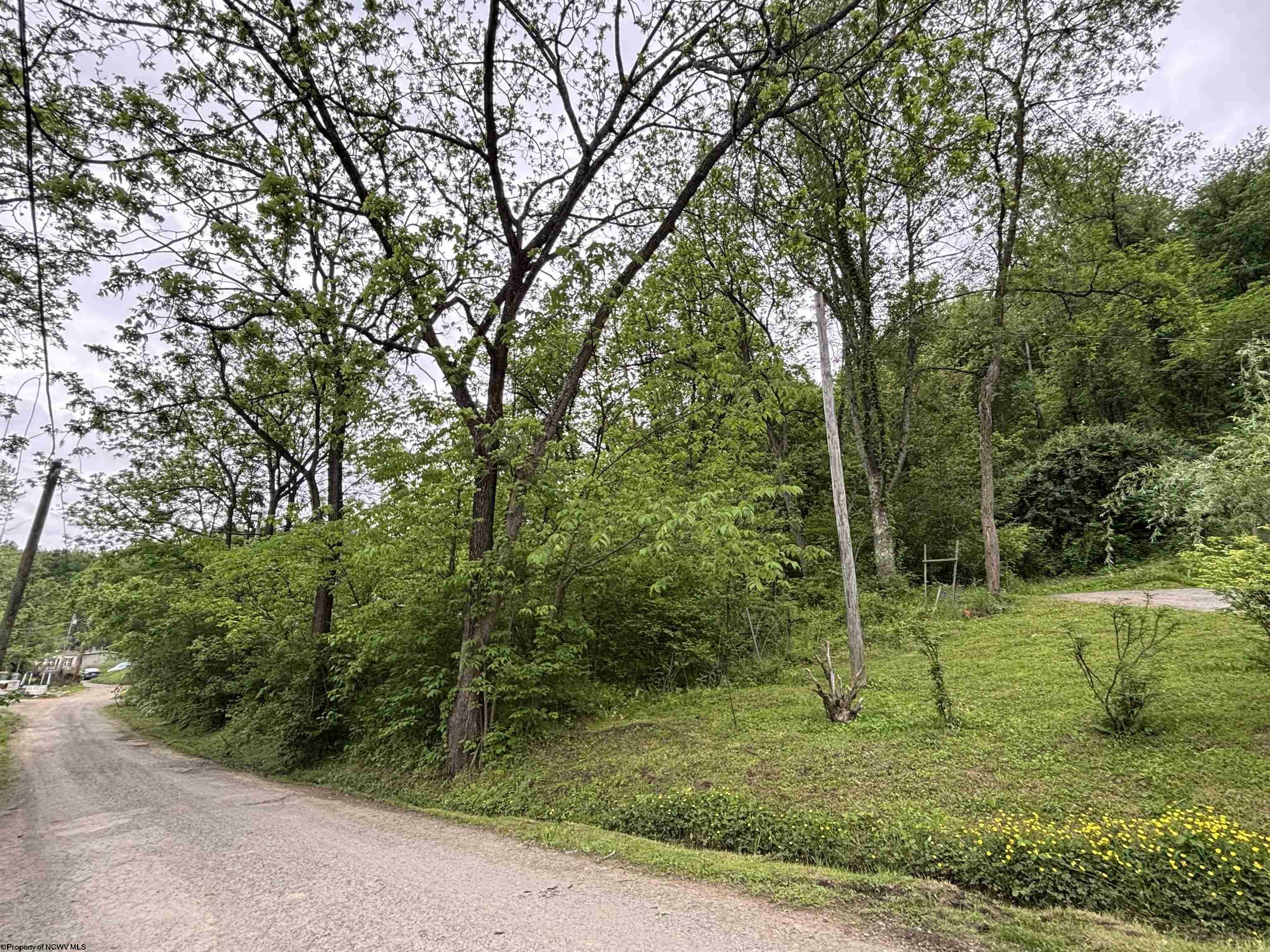Property Photo: Tbd Durham Lane WV 26508