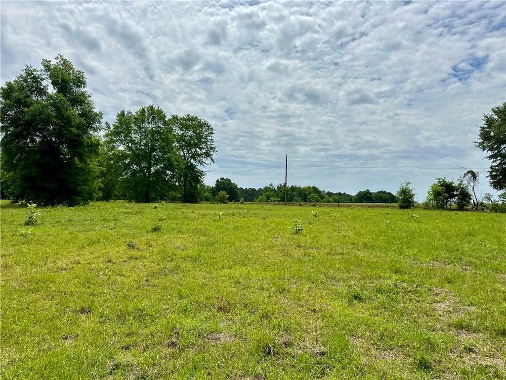 Property Photo: 0 Johnson Road AL 36375