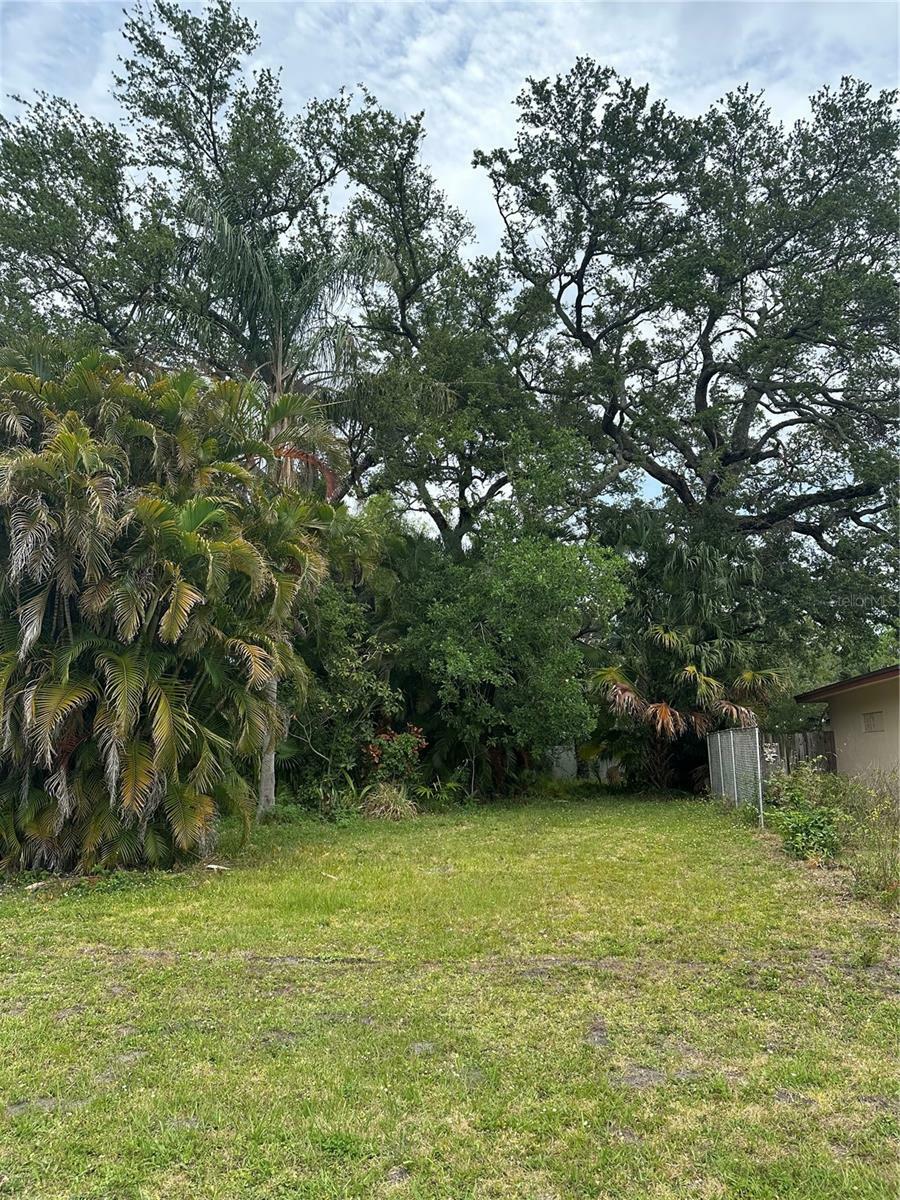 Property Photo: 0 David Avenue FL 33759