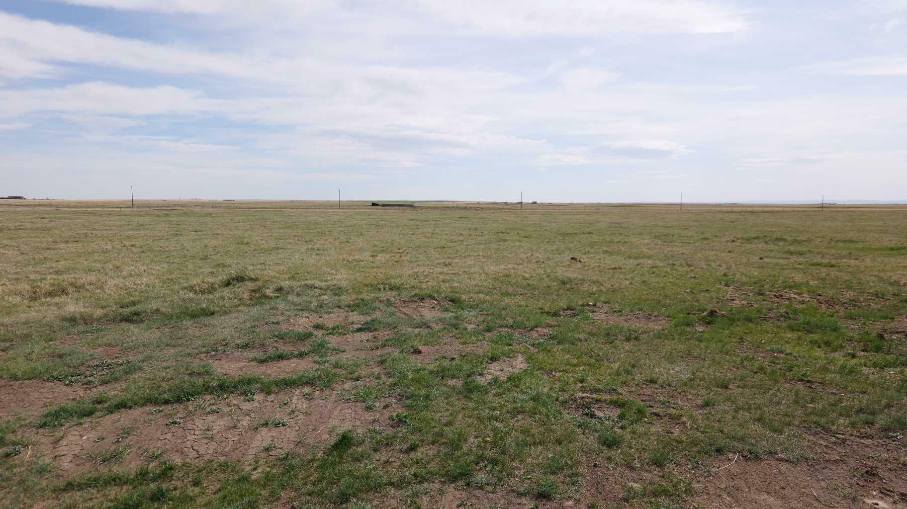 Property Photo: Vulcan County AB T0L 2B0