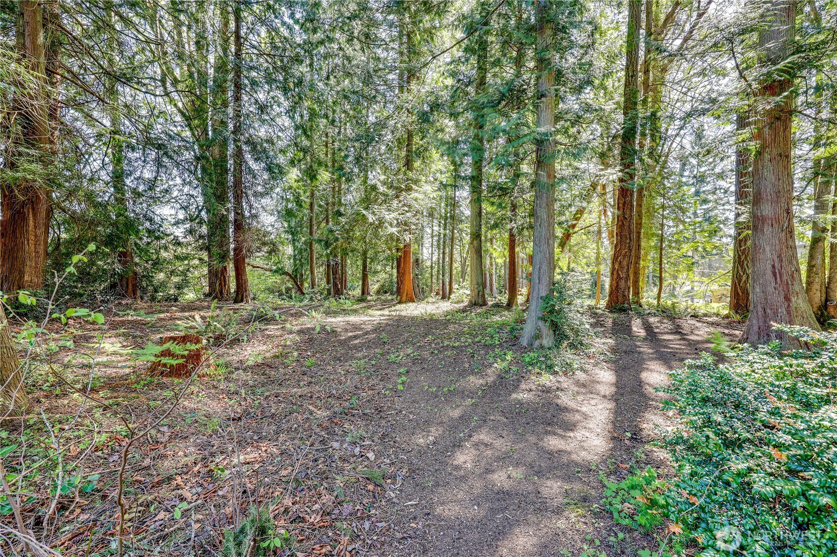113 Xx  North Madison Avenue NE  Bainbridge Island WA 98110 photo