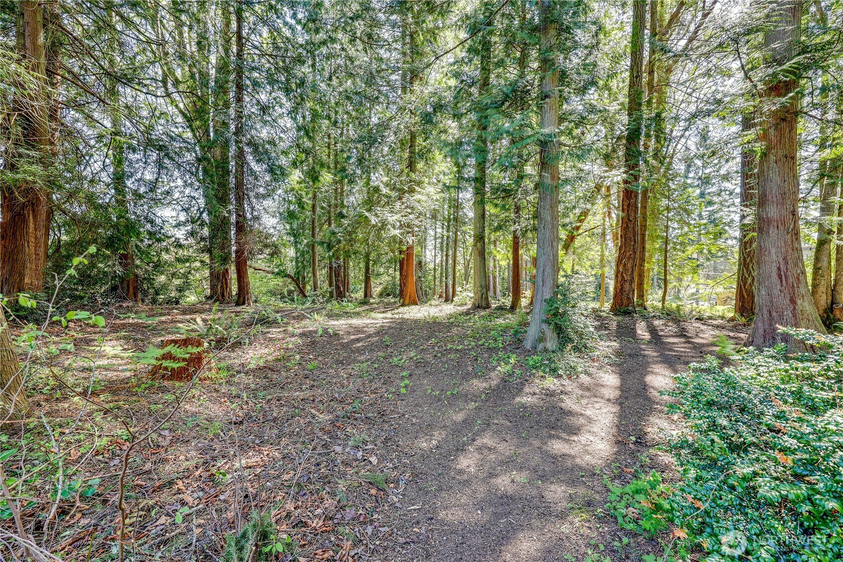 Property Photo: 113 Xx North Madison Avenue NE WA 98110