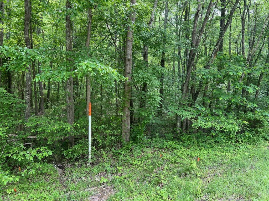 Property Photo: 356 Highway 68 W TN 37322