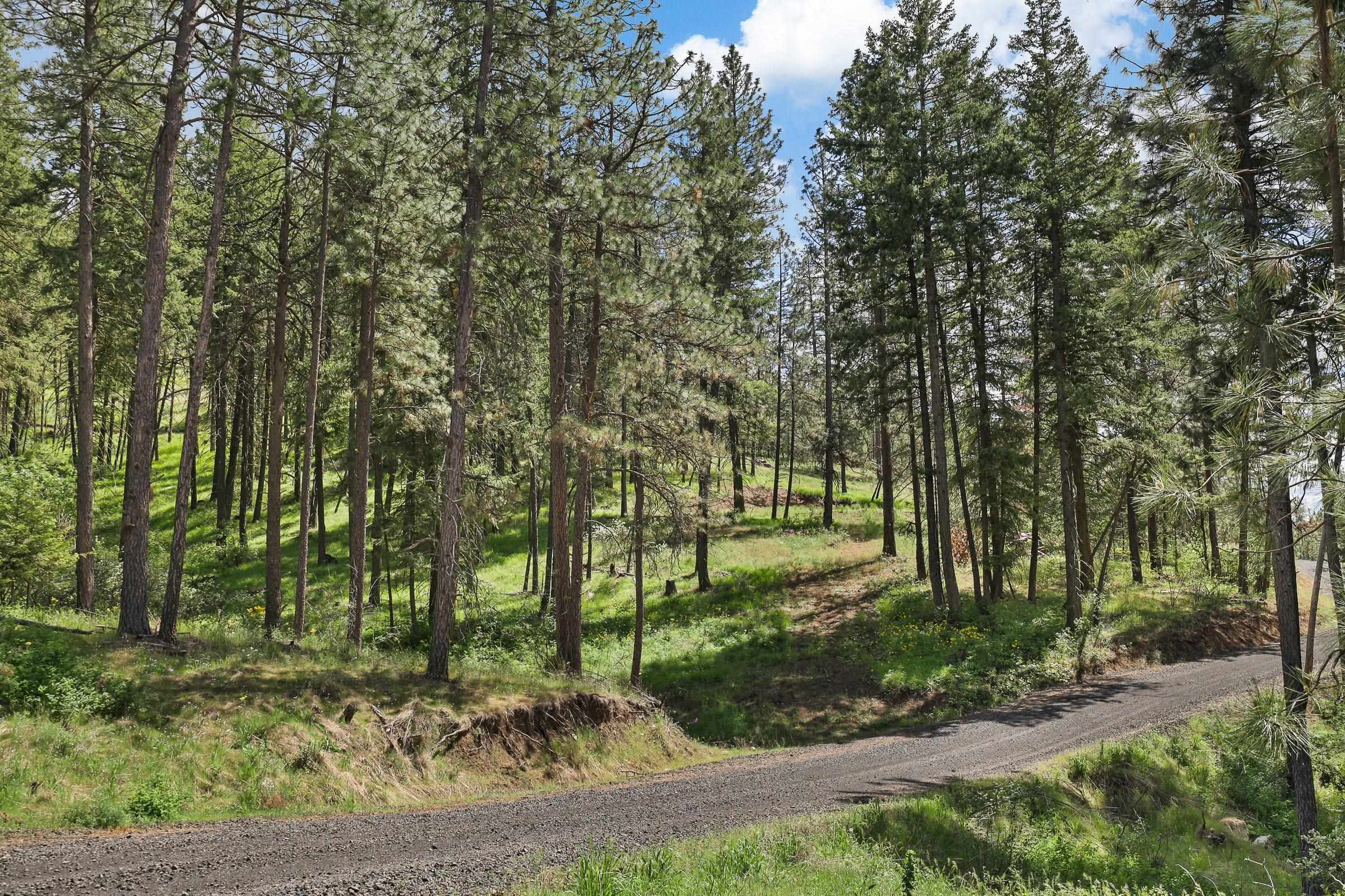 Property Photo: Nka Weaver Way Lot 4A WA 99006