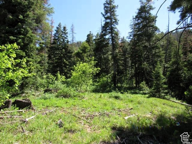 18 Pine Ridge 18  Mt Pleasant UT 84647 photo