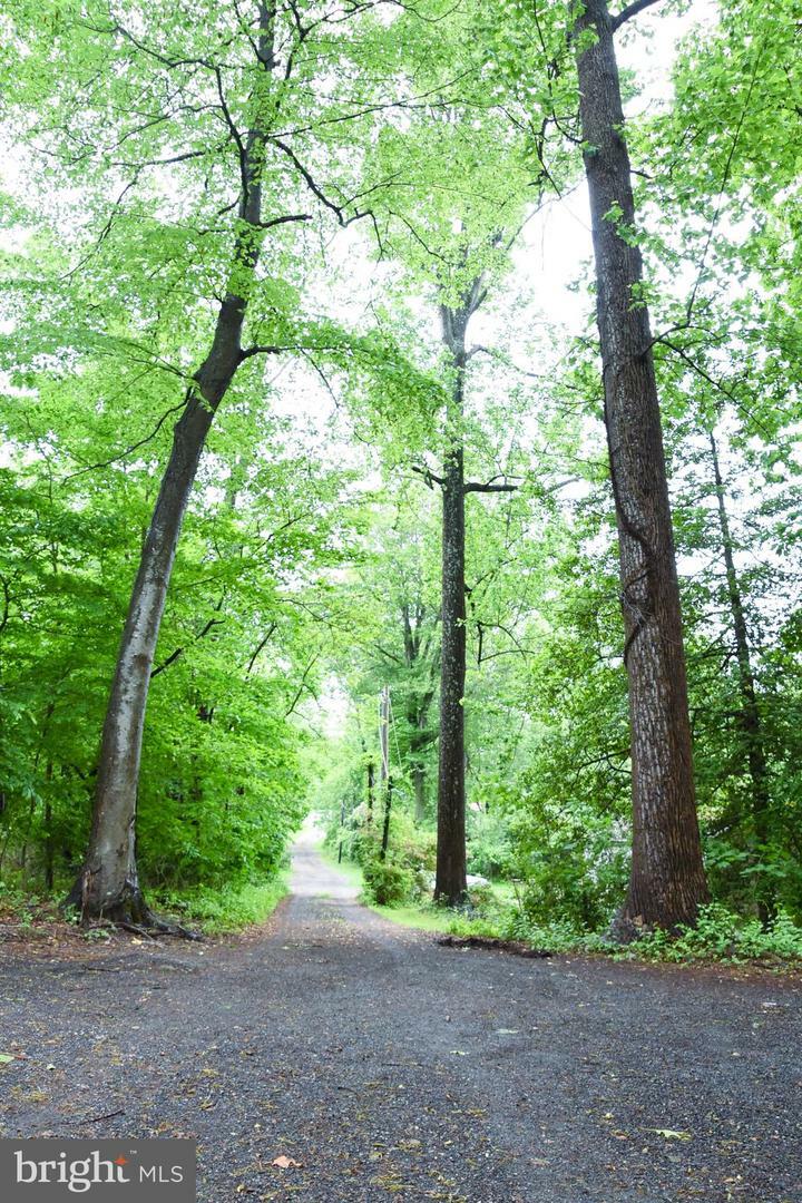 Property Photo: 38 Behm Lane MD 21917