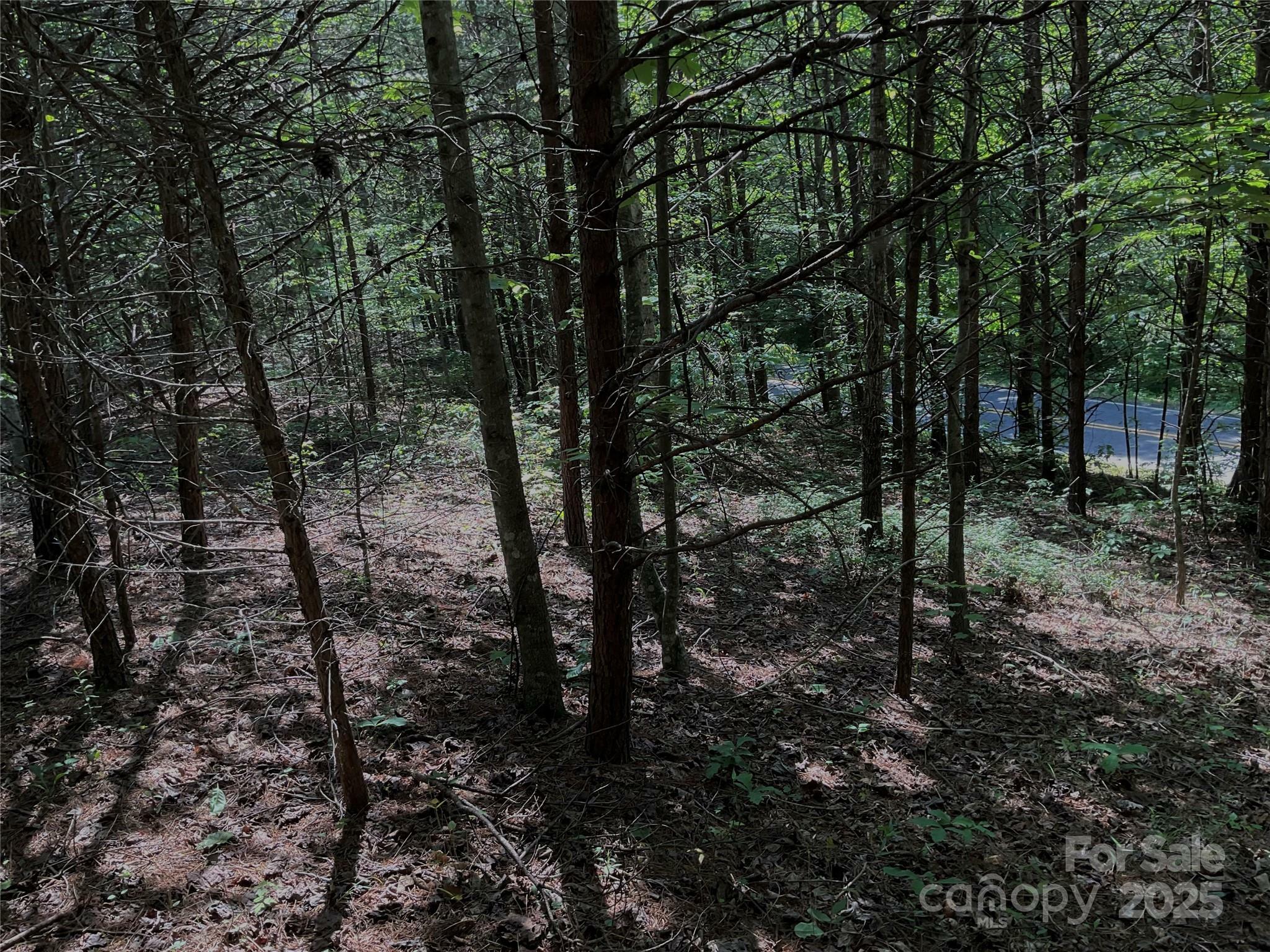 Property Photo: 0 Freemantown Road NC 28746