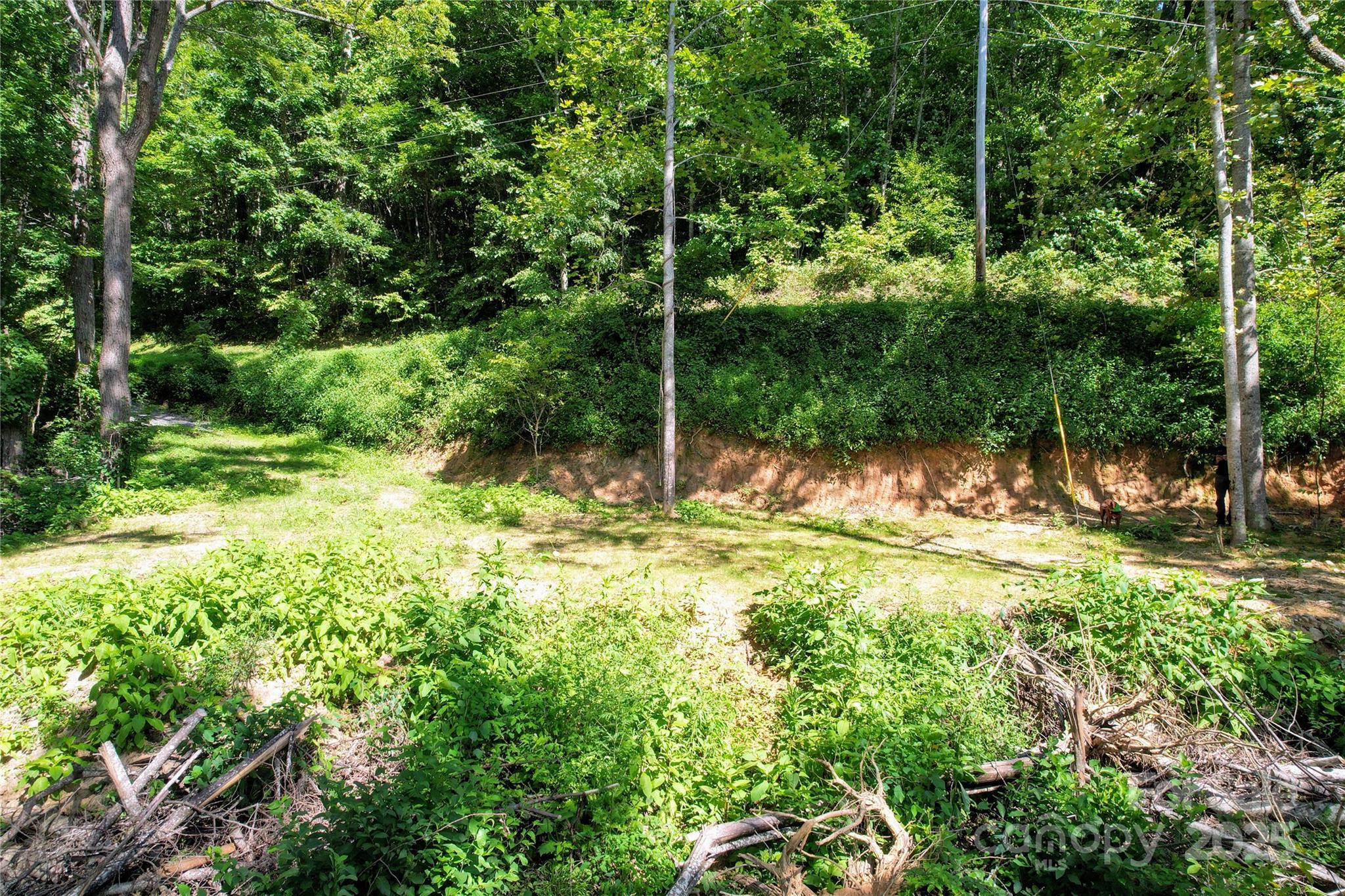Property Photo:  114 Trails End Lane  NC 28785 