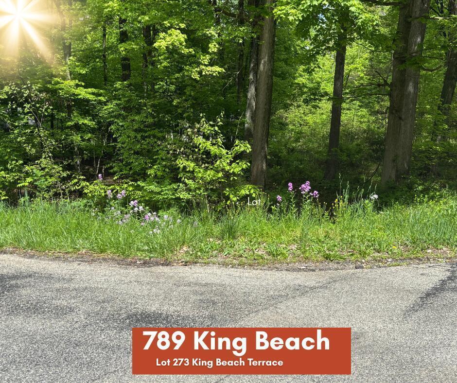 Property Photo:  789 King Beach Drive  OH 43028 