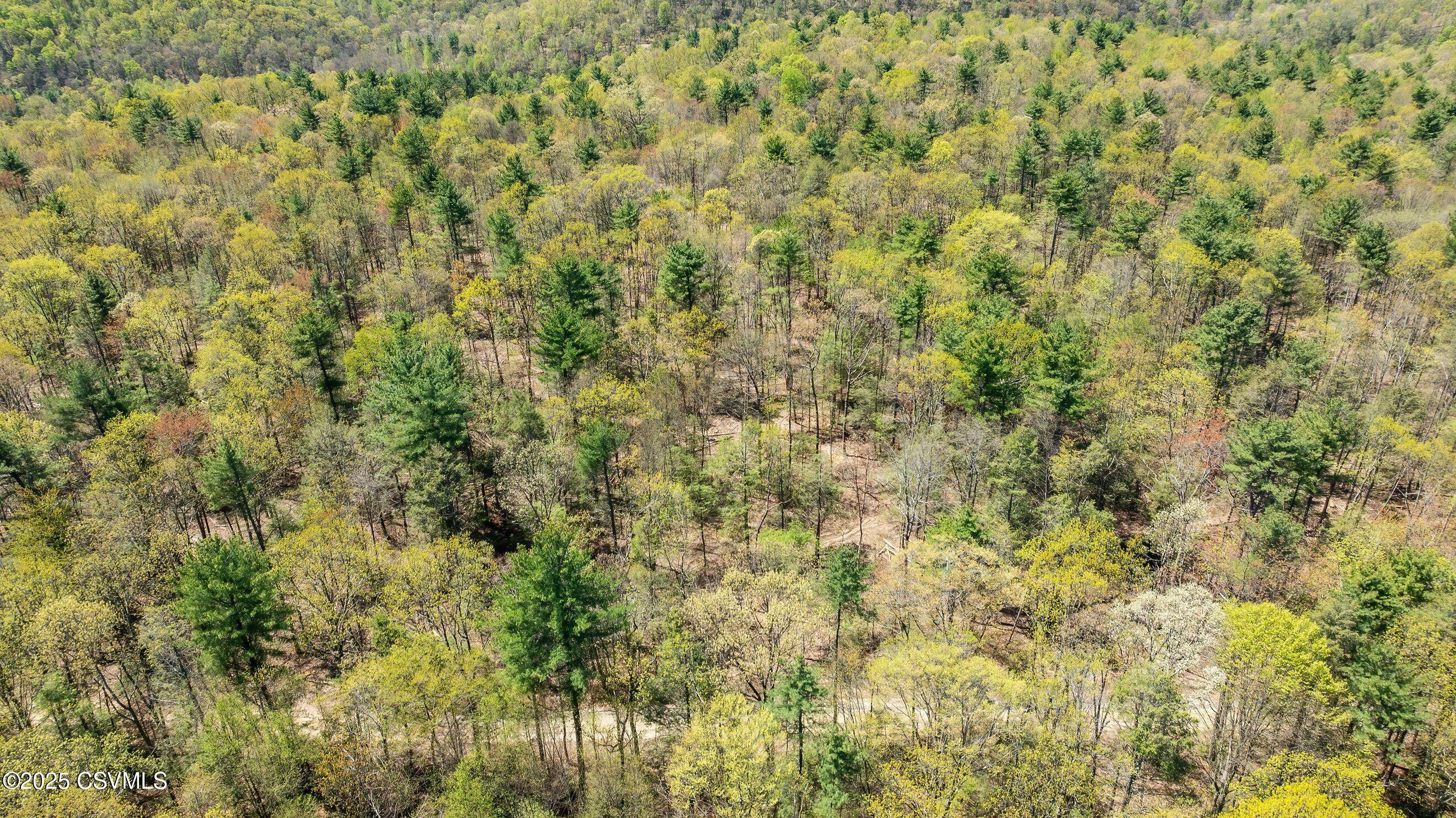 Property Photo: Lot 3 Patton Hill Road PA 17846