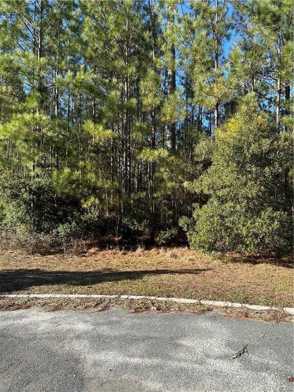 Property Photo:  0 Big Horse Drive  GA 31566 