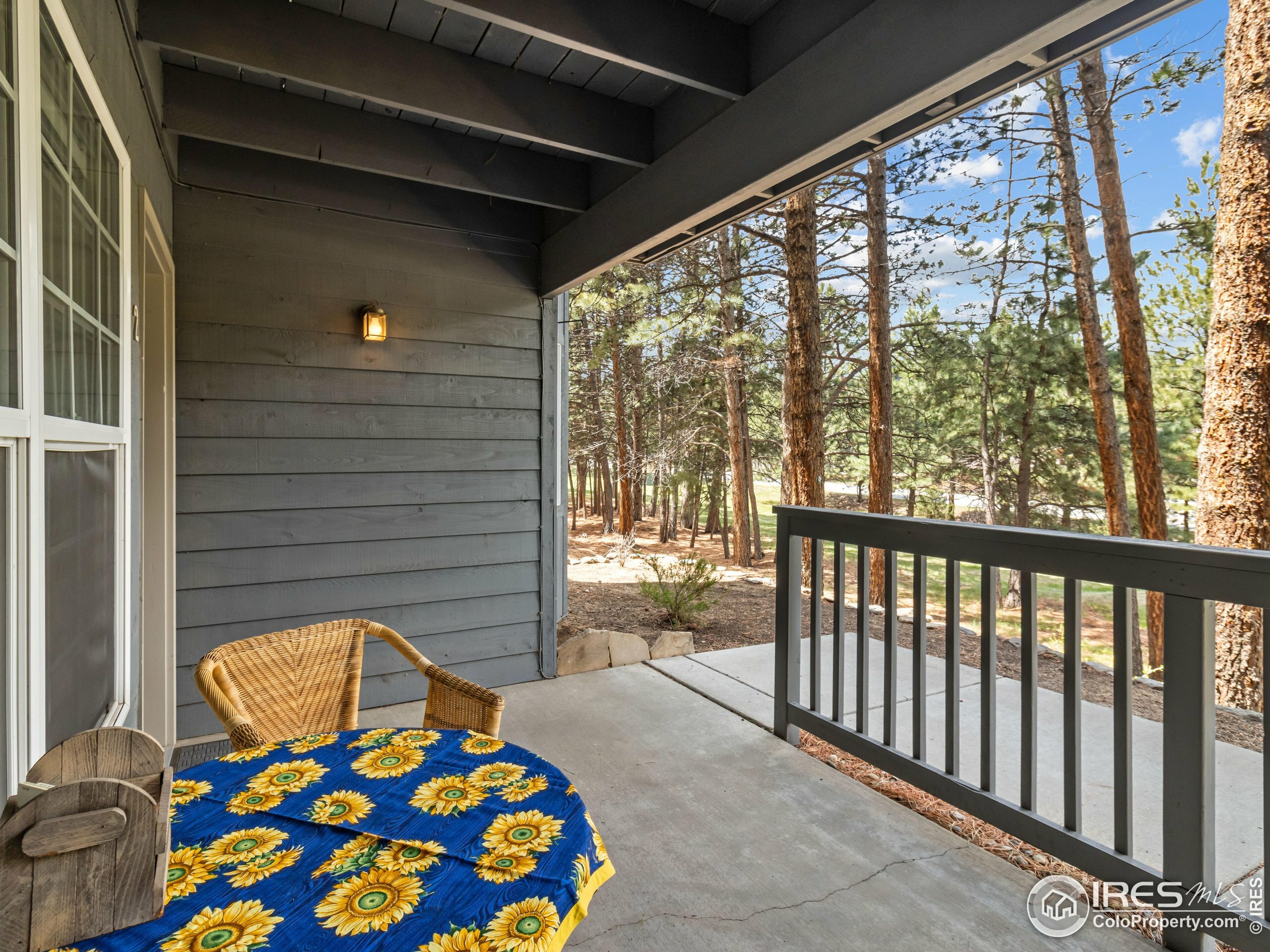 Property Photo:  160 Riverside Dr 2  CO 80517 