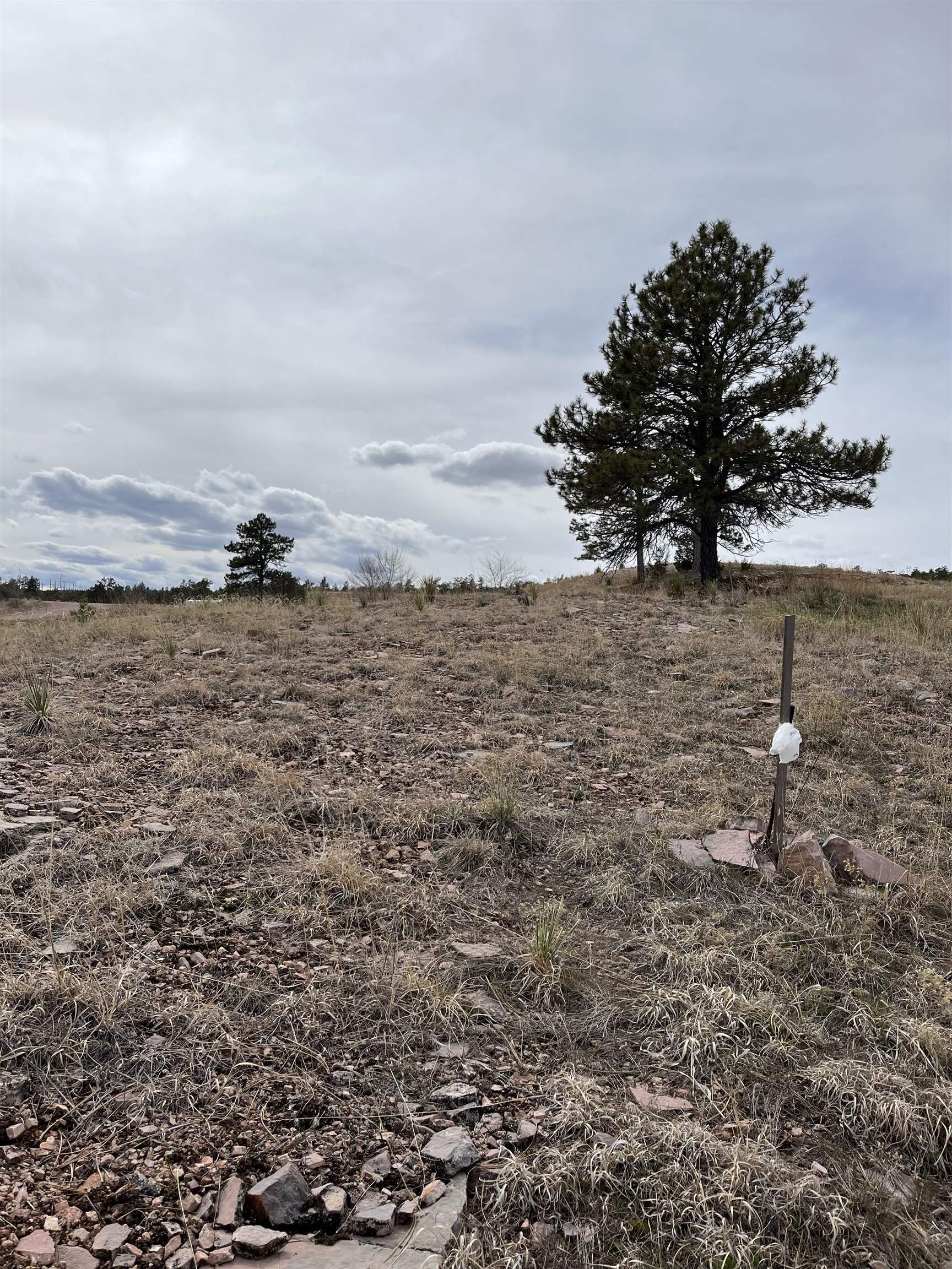 Property Photo:  833 N 26th Street  SD 57747-9999 