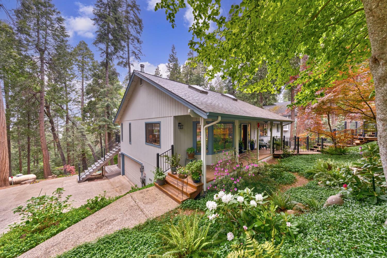 4038 Opal Trail  Pollock Pines CA 95726 photo