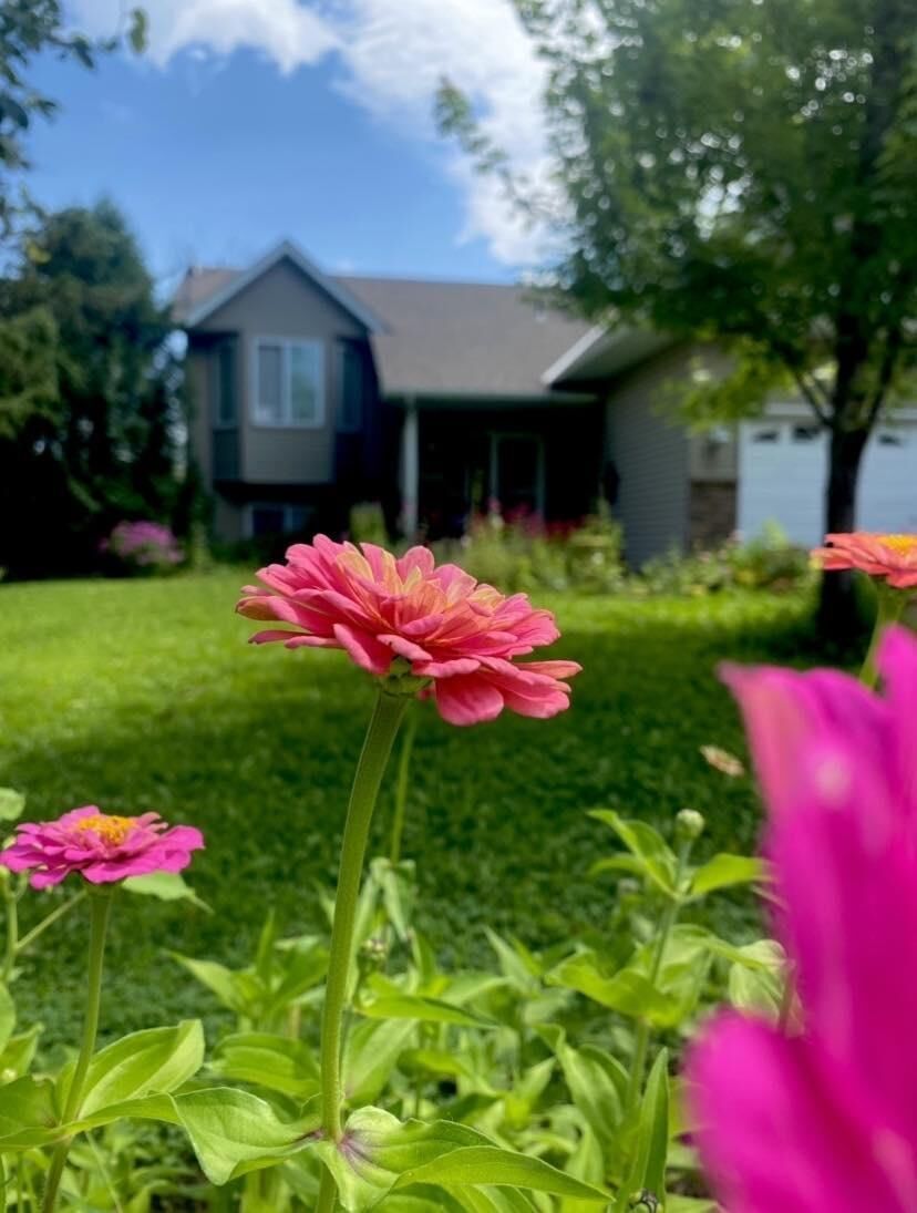 Property Photo:  23141 Hilo Avenue N  MN 55025 