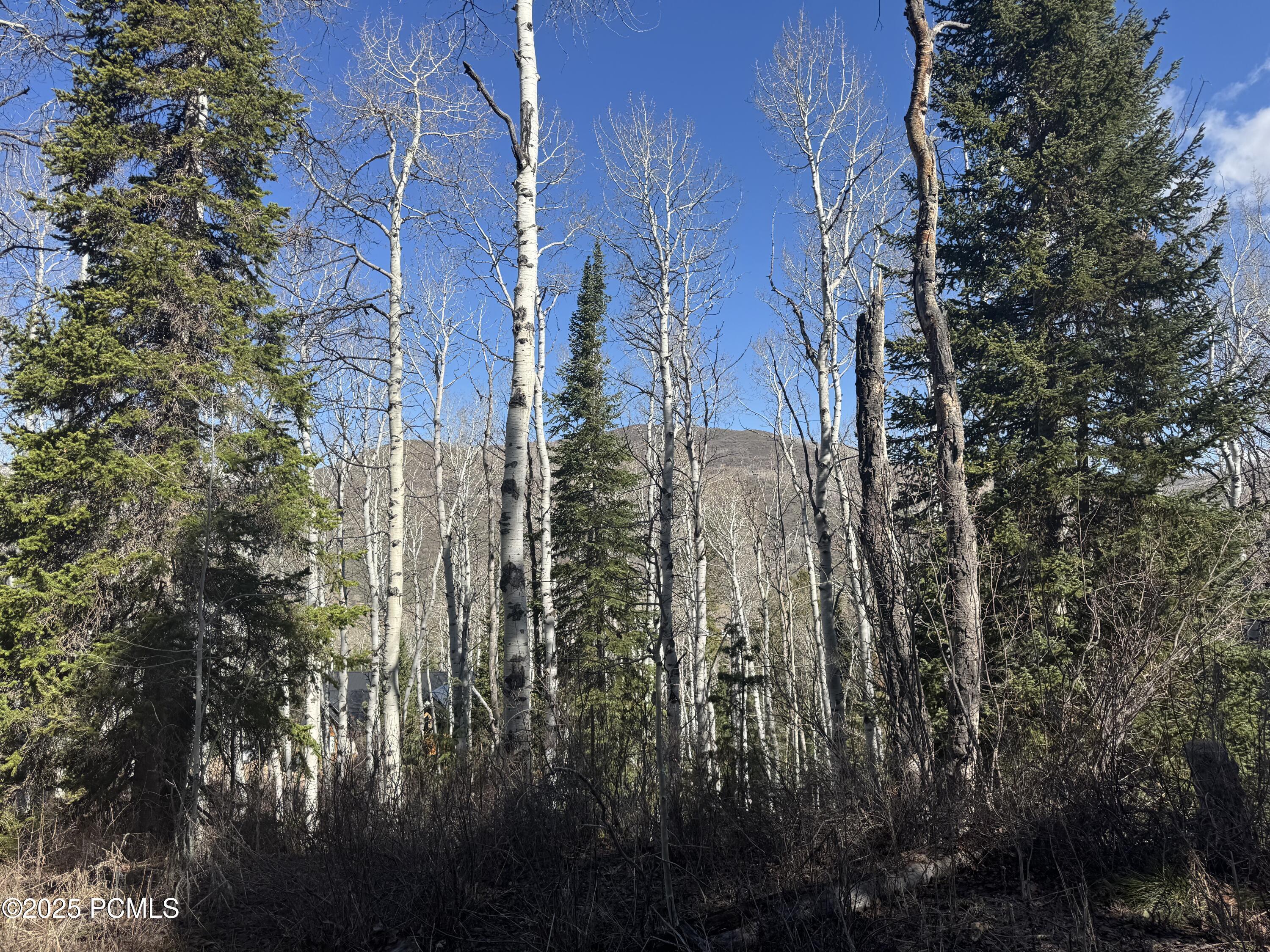 Property Photo:  663 Red Fir Way  UT 84055 