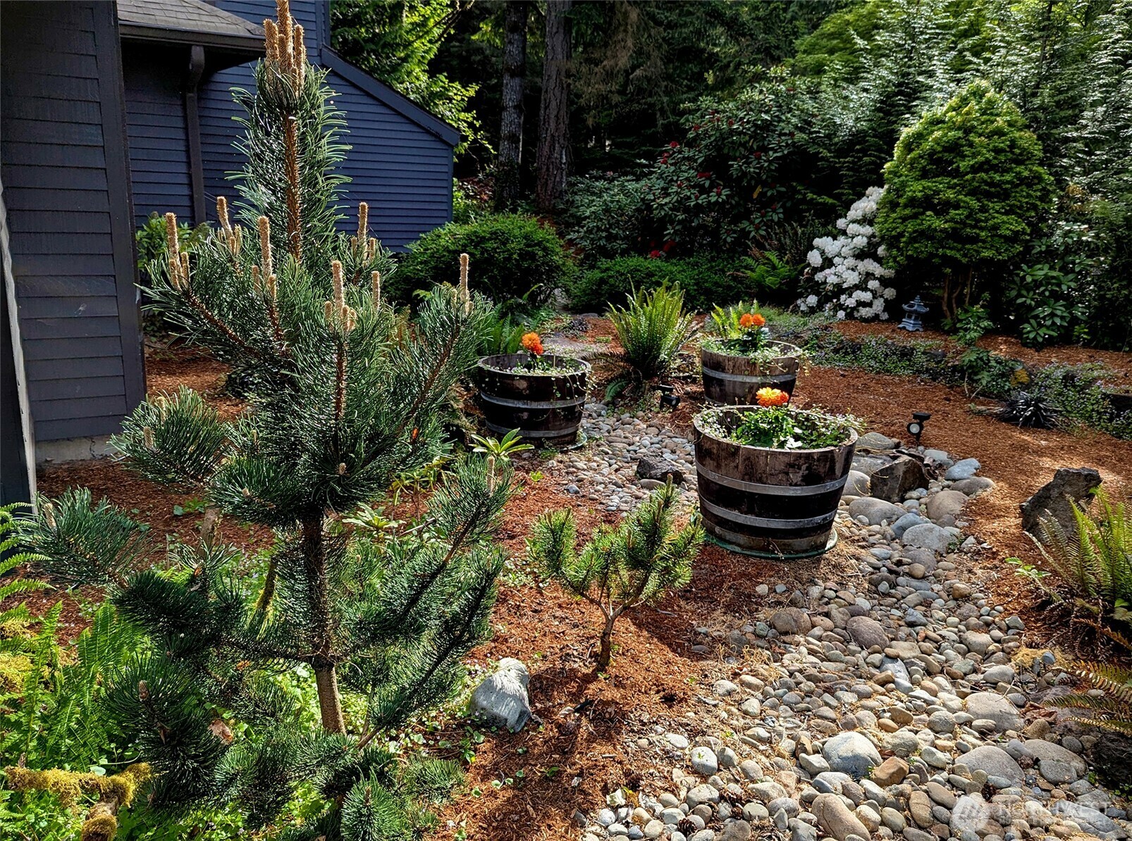 Property Photo:  4106  Green Cove Street NW  WA 98502 